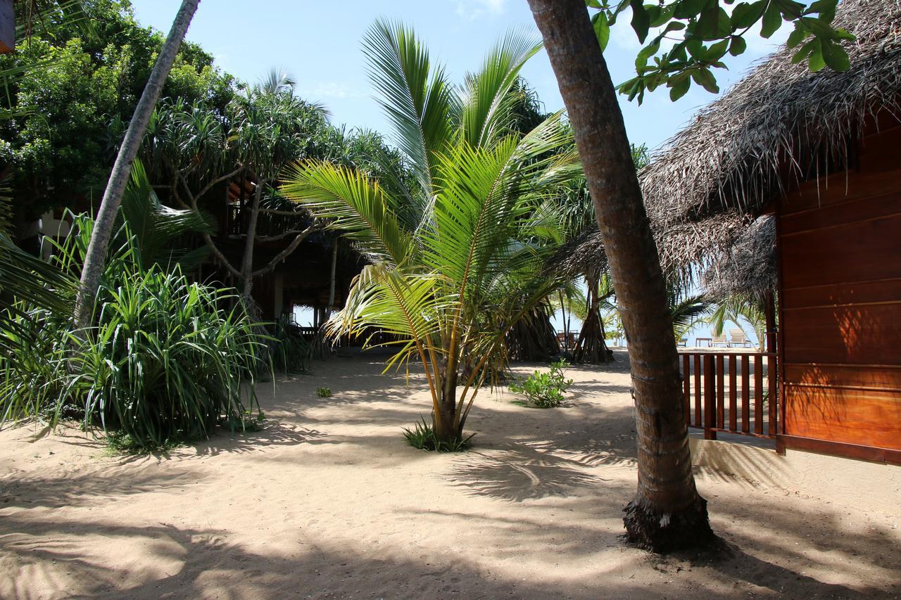 Shiva'S Beach Cabanas Tangalle Dış mekan fotoğraf